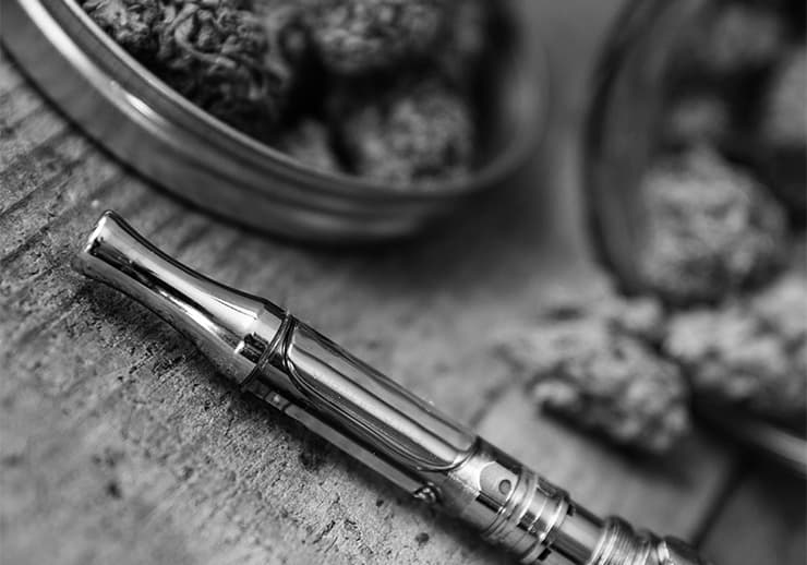 Cannabis dispensary SEO case study