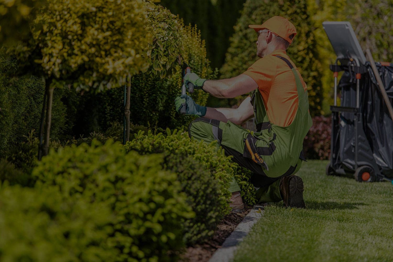 Pool Company SEO