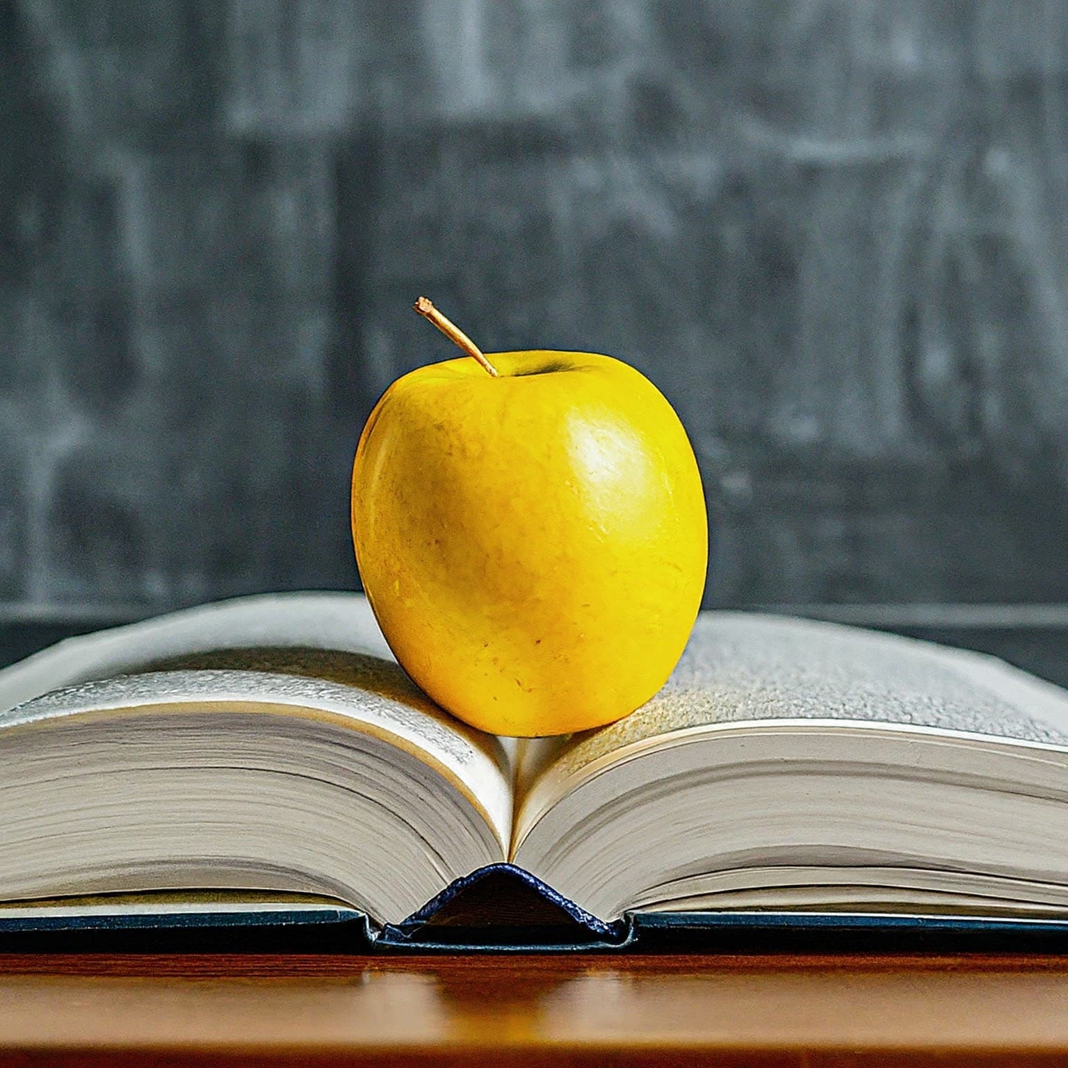 Educational Services Provider